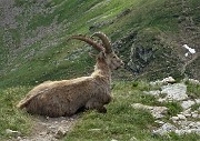 67 Ritrovata comoda posizione di relax